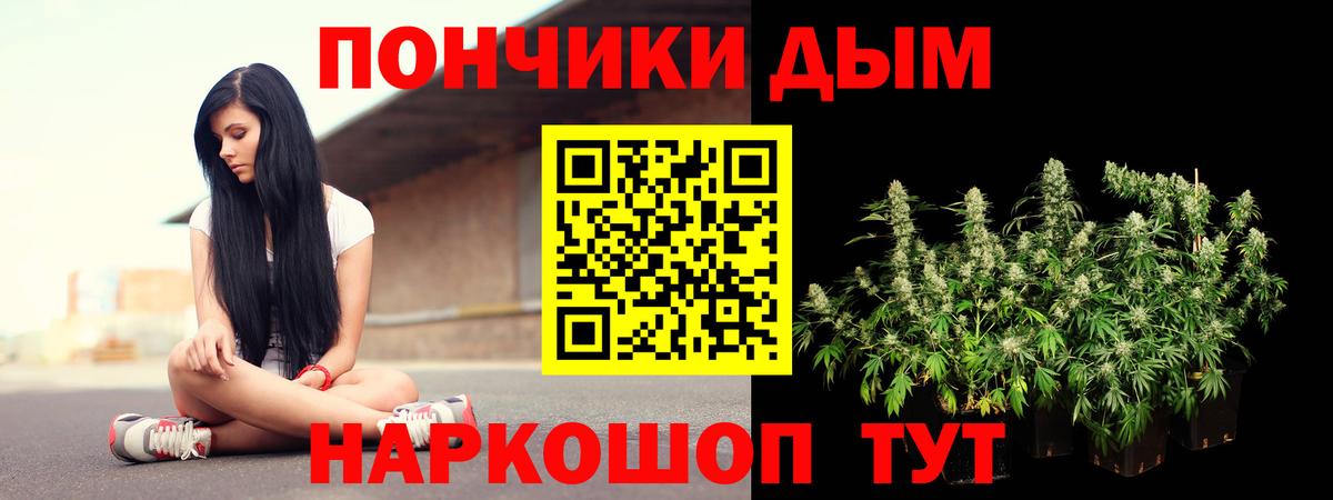 Шишки марихуана марихуана Старая Купавна